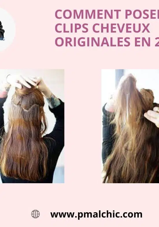 clips cheveux